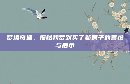 梦境奇遇，揭秘我梦到买了新房子的喜悦与启示