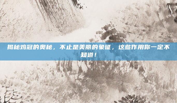 揭秘鸡冠的奥秘，不止是美丽的象征，这些作用你一定不知道！