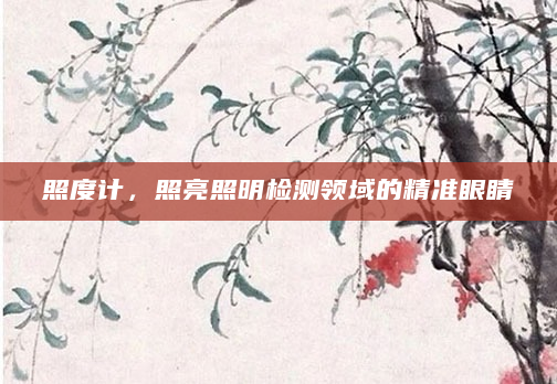 照度计，照亮照明检测领域的精准眼睛