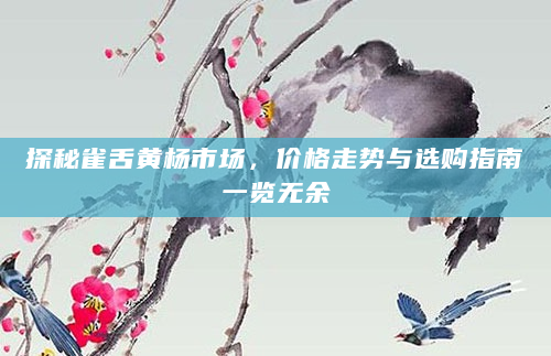 探秘雀舌黄杨市场，价格走势与选购指南一览无余