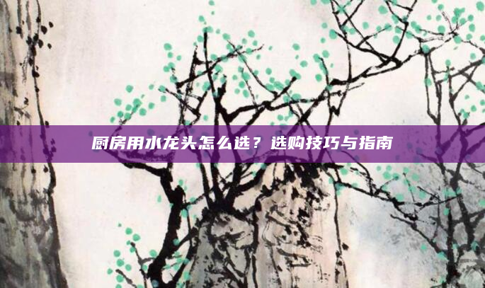 厨房用水龙头怎么选？选购技巧与指南