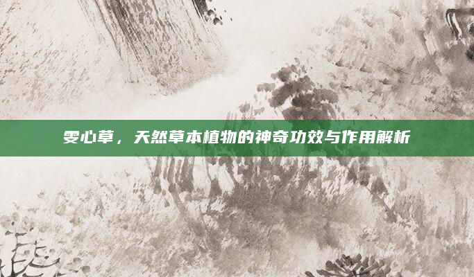 雯心草，天然草本植物的神奇功效与作用解析