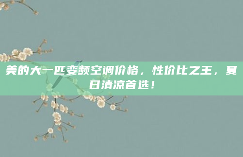 美的大一匹变频空调价格，性价比之王，夏日清凉首选！