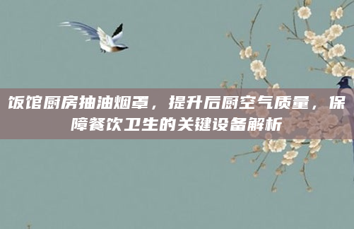 饭馆厨房抽油烟罩，提升后厨空气质量，保障餐饮卫生的关键设备解析