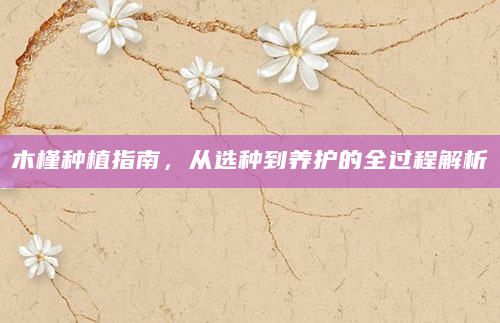 木槿种植指南，从选种到养护的全过程解析