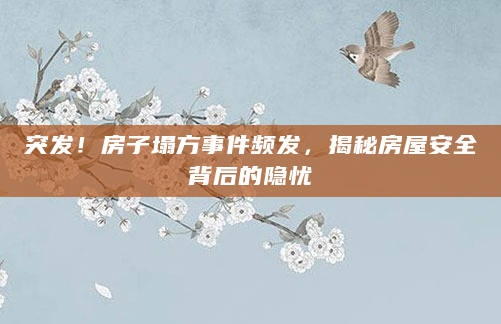 突发！房子塌方事件频发，揭秘房屋安全背后的隐忧