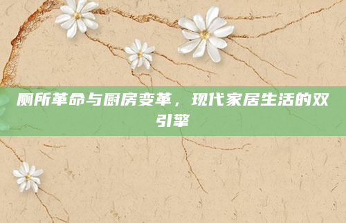 厕所革命与厨房变革，现代家居生活的双引擎