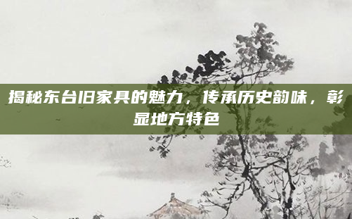 揭秘东台旧家具的魅力，传承历史韵味，彰显地方特色