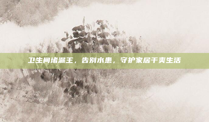 卫生间堵漏王，告别水患，守护家居干爽生活