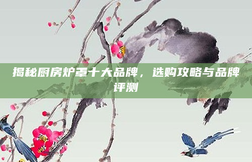 揭秘厨房炉罩十大品牌，选购攻略与品牌评测