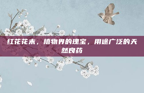 红花花末，植物界的瑰宝，用途广泛的天然良药