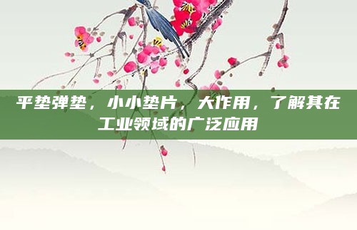平垫弹垫，小小垫片，大作用，了解其在工业领域的广泛应用