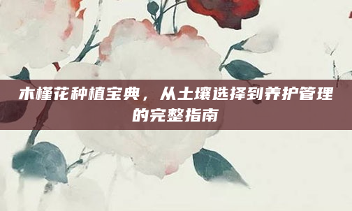 木槿花种植宝典，从土壤选择到养护管理的完整指南