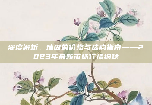 深度解析，墙固的价格与选购指南——2023年最新市场行情揭秘