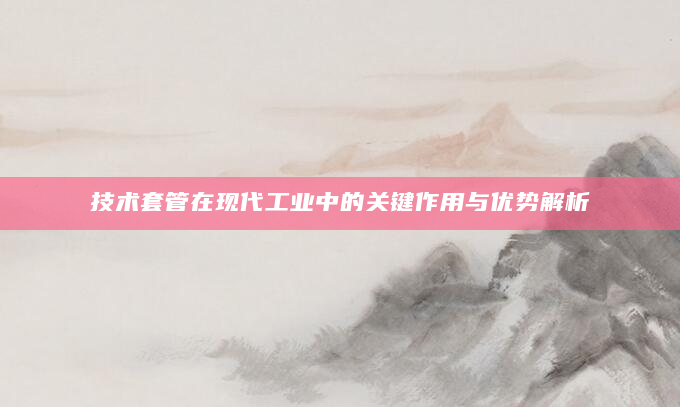 技术套管在现代工业中的关键作用与优势解析