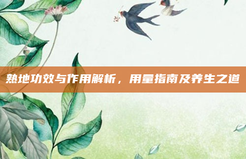 熟地功效与作用解析，用量指南及养生之道