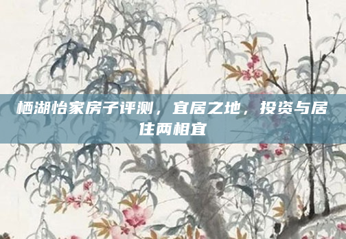 栖湖怡家房子评测，宜居之地，投资与居住两相宜