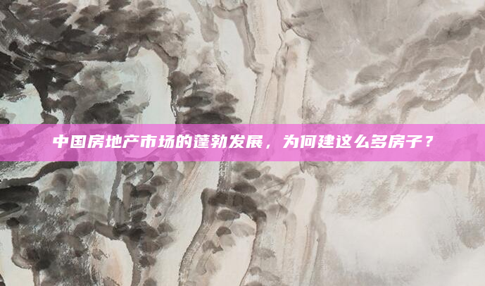 中国房地产市场的蓬勃发展，为何建这么多房子？