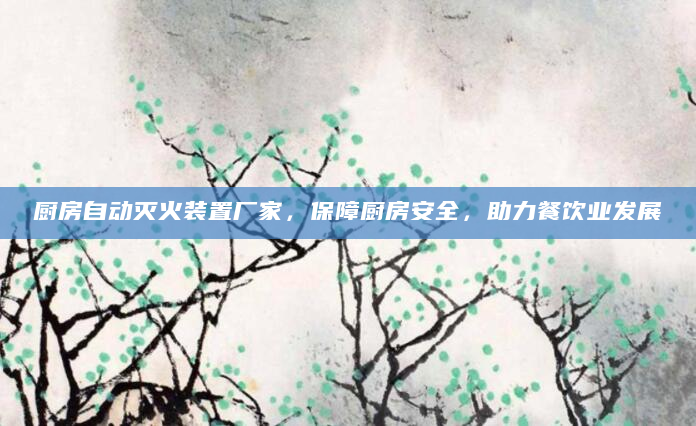 厨房自动灭火装置厂家，保障厨房安全，助力餐饮业发展