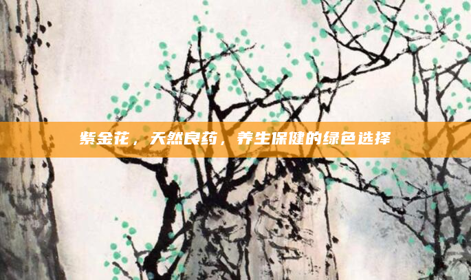 紫金花，天然良药，养生保健的绿色选择