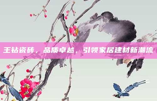 王钻瓷砖，品质卓越，引领家居建材新潮流