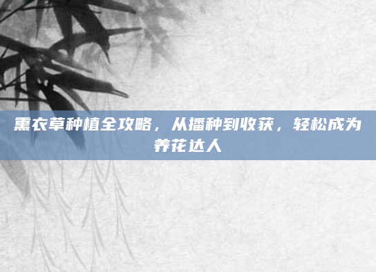 熏衣草种植全攻略，从播种到收获，轻松成为养花达人
