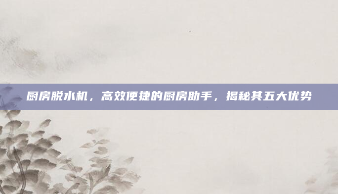 厨房脱水机，高效便捷的厨房助手，揭秘其五大优势