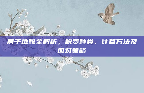 房子地税全解析，税费种类、计算方法及应对策略
