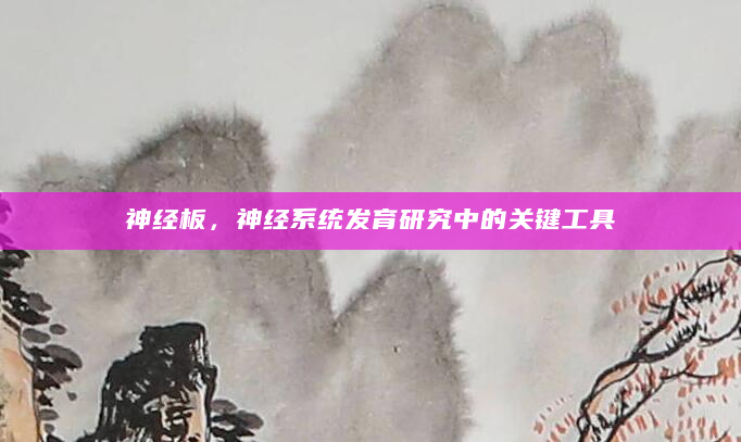 神经板，神经系统发育研究中的关键工具