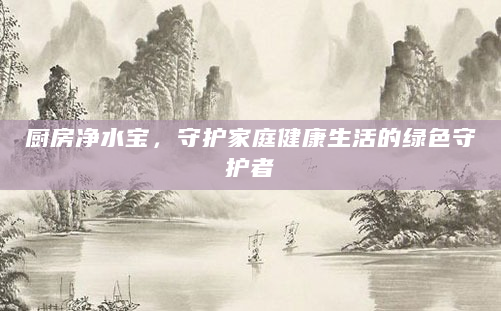 厨房净水宝，守护家庭健康生活的绿色守护者