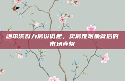 哈尔滨群力房价低迷，卖房难现象背后的市场真相