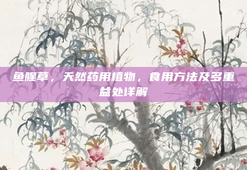 鱼腥草，天然药用植物，食用方法及多重益处详解