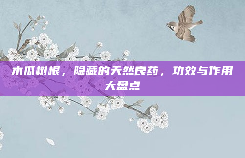 木瓜树根，隐藏的天然良药，功效与作用大盘点