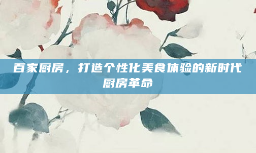百家厨房，打造个性化美食体验的新时代厨房革命