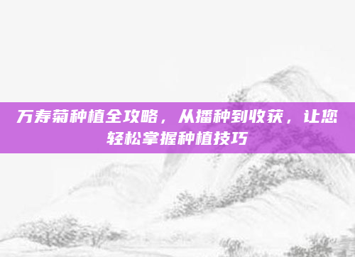 万寿菊种植全攻略，从播种到收获，让您轻松掌握种植技巧