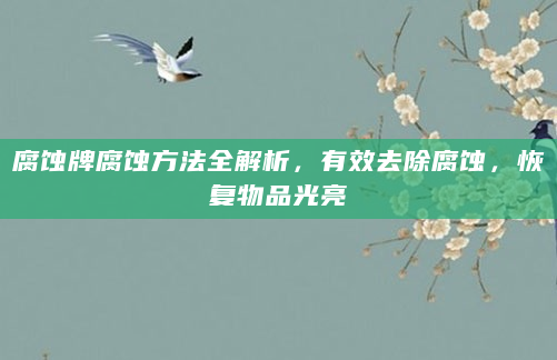 腐蚀牌腐蚀方法全解析，有效去除腐蚀，恢复物品光亮
