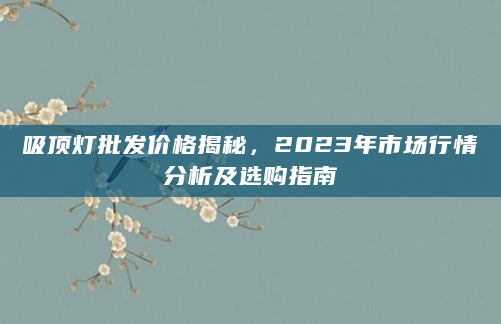 吸顶灯批发价格揭秘，2023年市场行情分析及选购指南