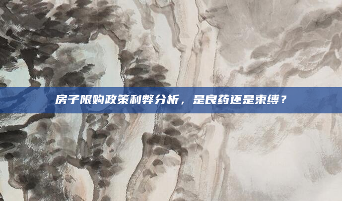 房子限购政策利弊分析，是良药还是束缚？