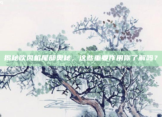 揭秘吹风机尾部奥秘，这些重要作用你了解吗？