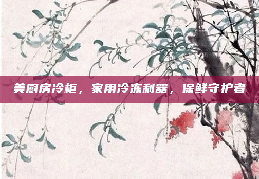 美厨房冷柜，家用冷冻利器，保鲜守护者