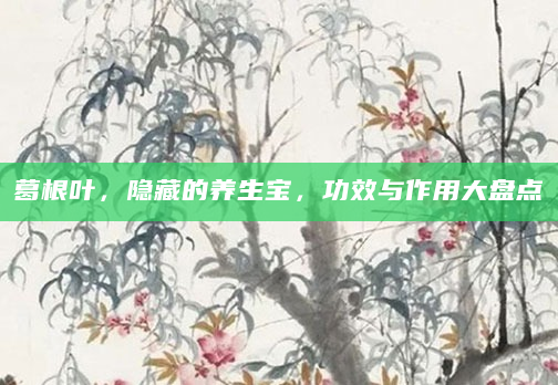 葛根叶，隐藏的养生宝，功效与作用大盘点