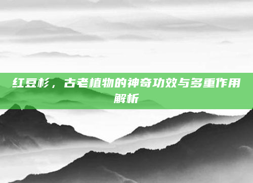 红豆杉，古老植物的神奇功效与多重作用解析
