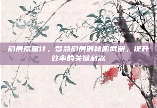 厨房流量计，智慧厨房的秘密武器，提升效率的关键利器