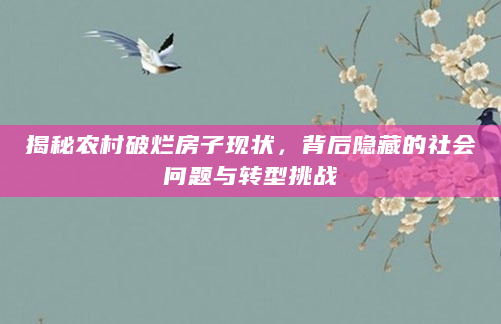 揭秘农村破烂房子现状，背后隐藏的社会问题与转型挑战