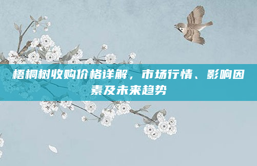 梧桐树收购价格详解，市场行情、影响因素及未来趋势