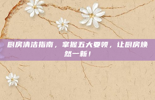 厨房清洁指南，掌握五大要领，让厨房焕然一新！