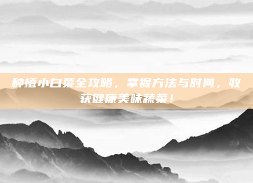 种植小白菜全攻略，掌握方法与时间，收获健康美味蔬菜！