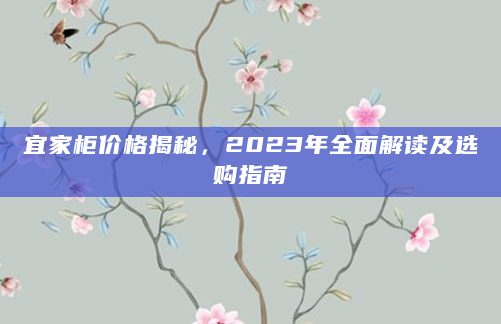 宜家柜价格揭秘，2023年全面解读及选购指南