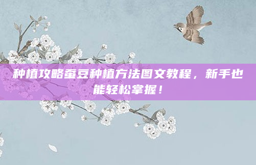 种植攻略蚕豆种植方法图文教程，新手也能轻松掌握！