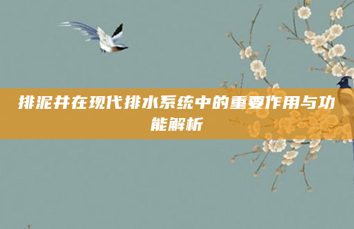 排泥井在现代排水系统中的重要作用与功能解析